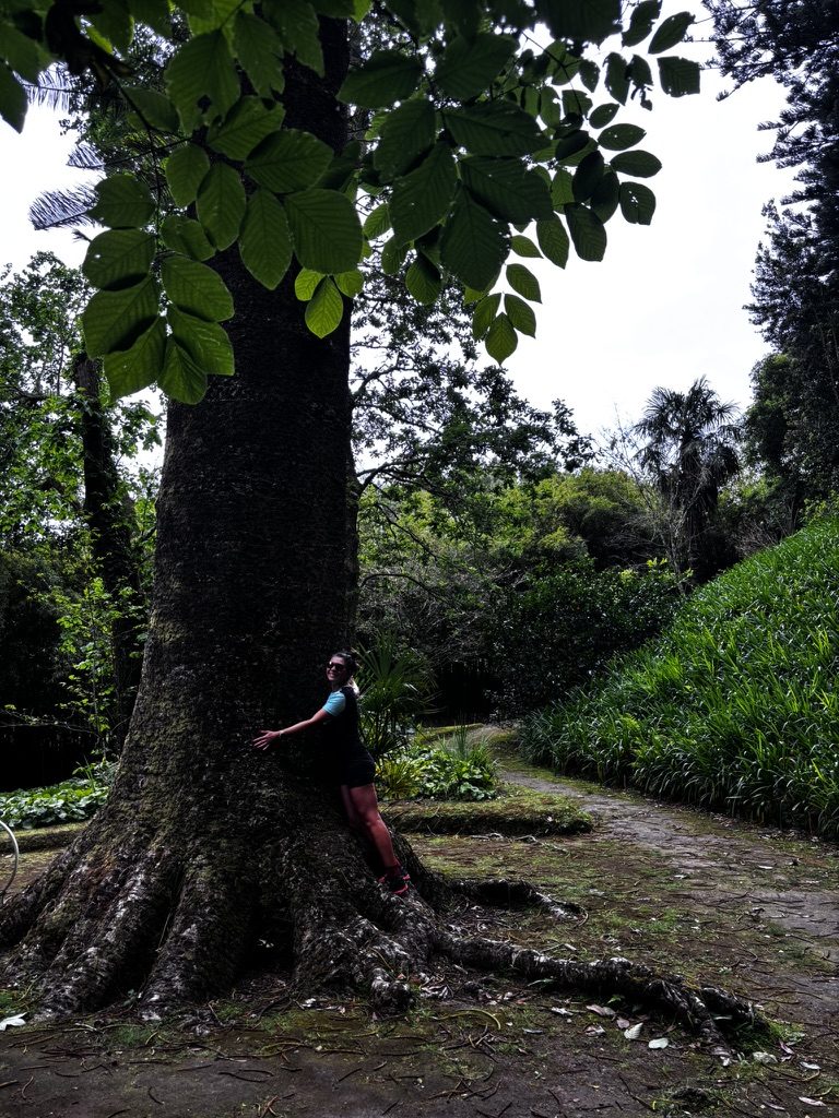 Anca hugging a tree in the Azores — arms around the trunk, completely content