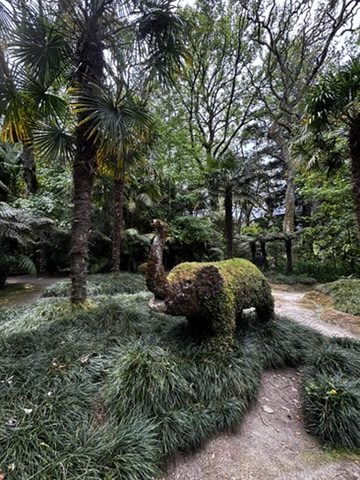 Where human-made paths meet untouched Azorean nature — a collaboration between landscape and whoever built here
