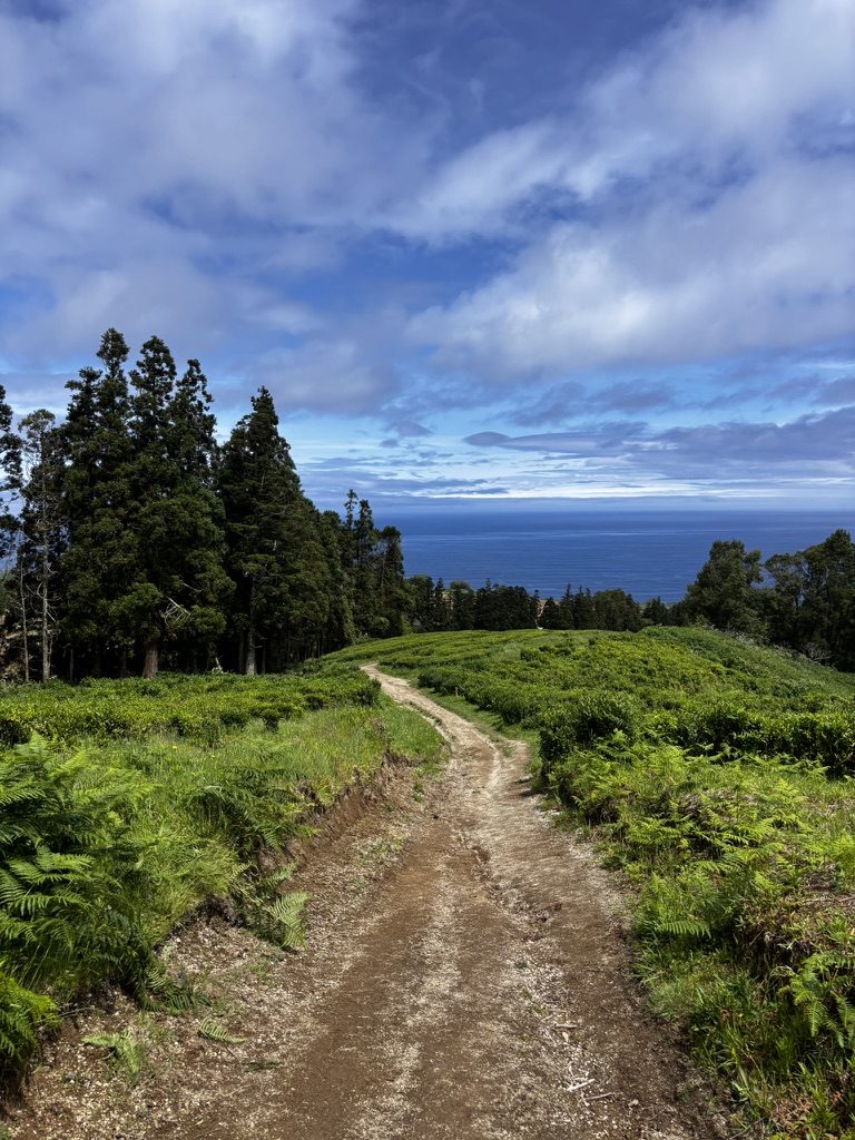 Impossibly vivid greens and blues of the Azores landscape — volcanic lakes and lush hillsides