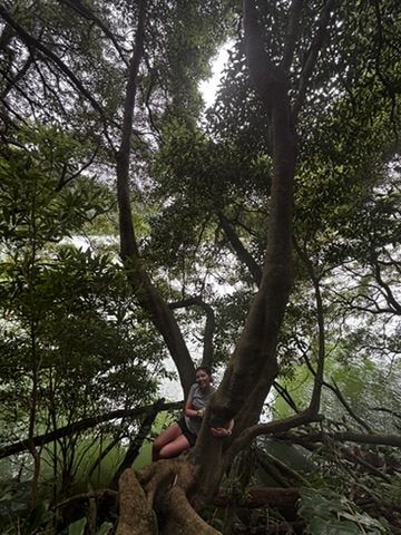 Anca hugging a giant tree in the Azores forest — arms wide, completely at ease