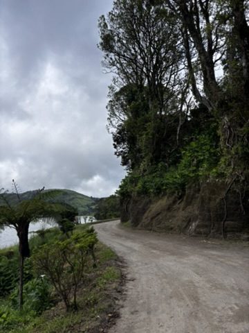 Raw, untouched Azores nature — volcanic terrain meeting dense green forest