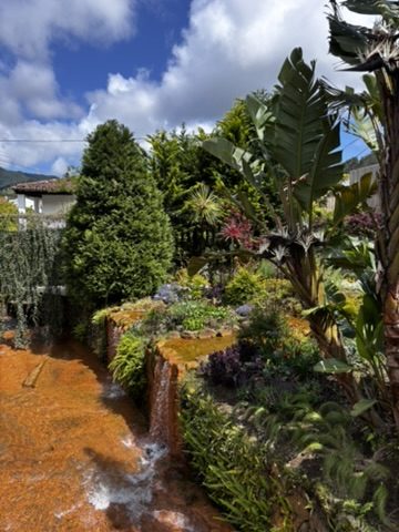 Poca Dona Beija thermal pool in the Azores — warm water, forest, steam rising, absolute peace