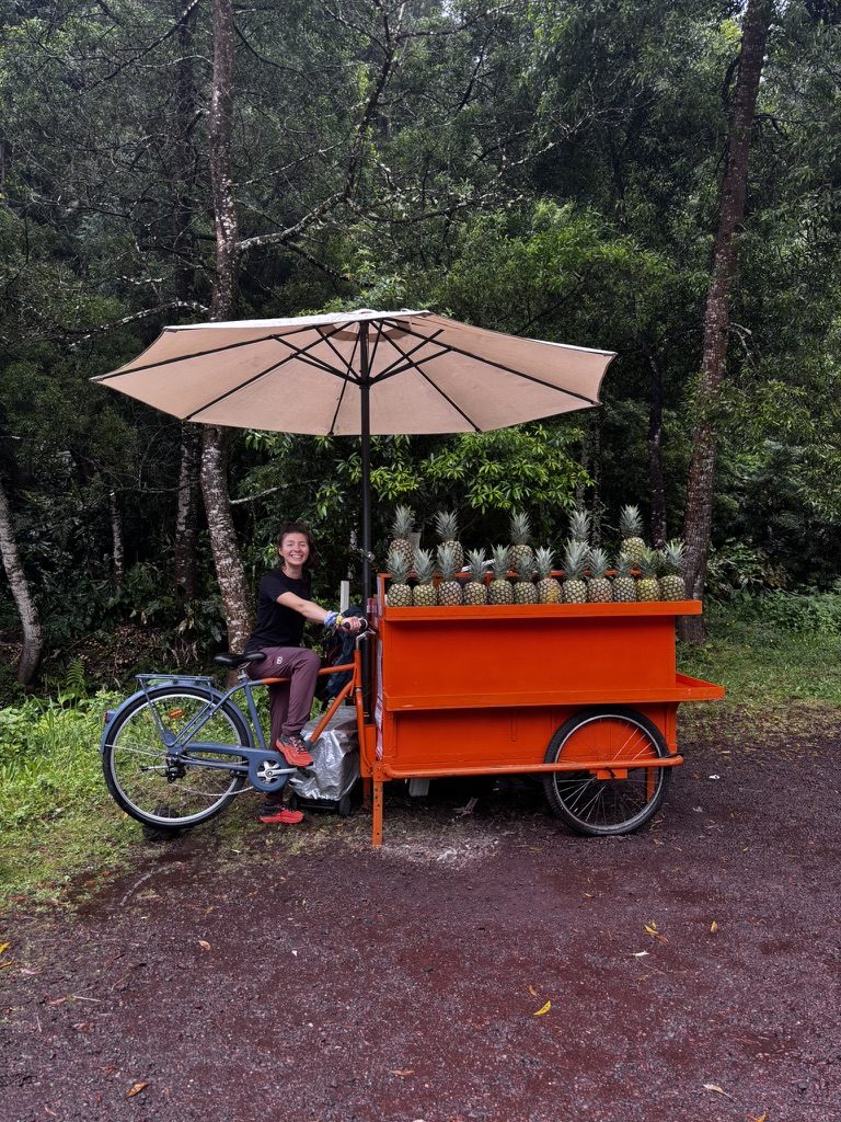 Anca holding an Azorean pineapple with great confidence, as if this is now a business venture