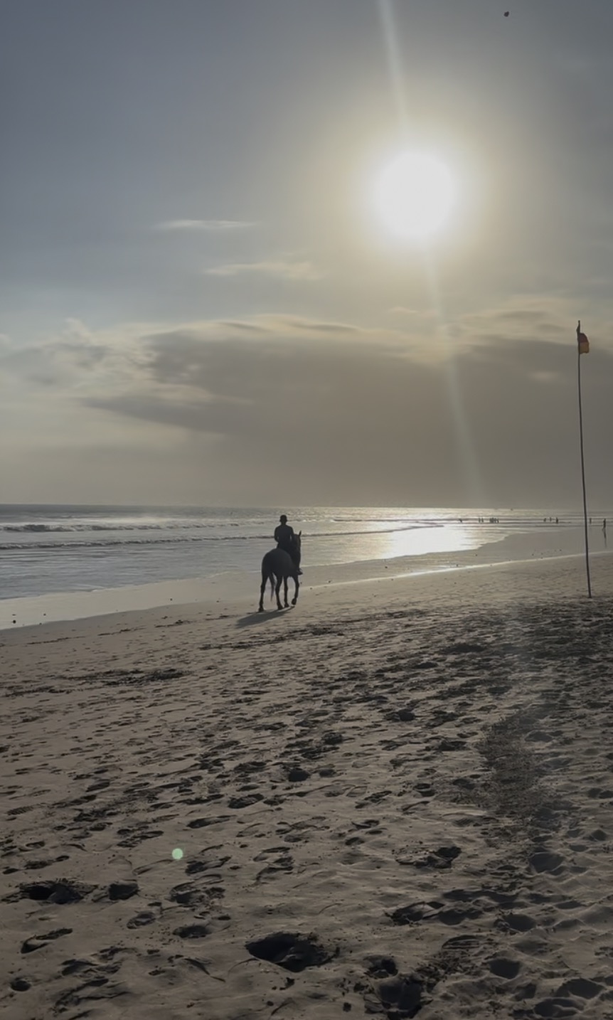 The price list for riding a horse on a Bali beach — a moment of negotiation, calculation, and equine temptation
