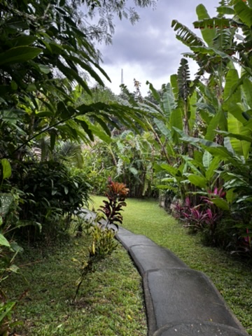A Bali resort space with flowering plants and traditional Balinese architecture — stone, water, and tropical green