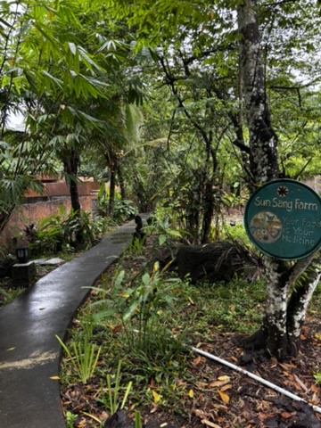 Bali resort pool and garden — traditional stone carvings, tropical plants, and a pool that reflects the sky