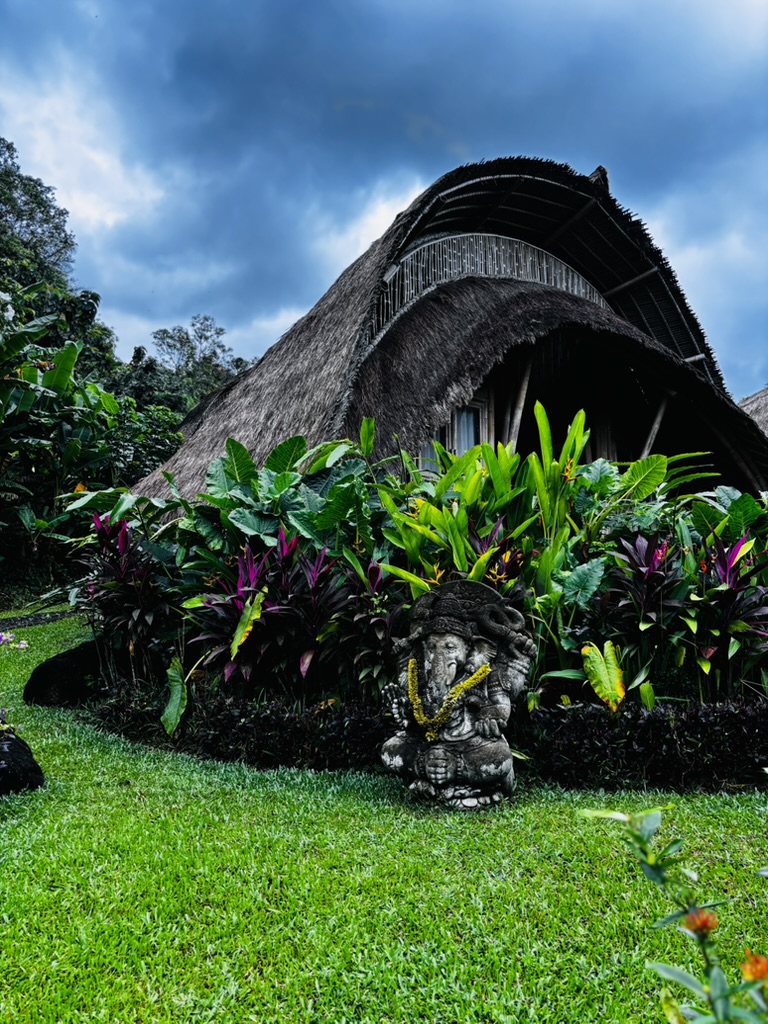 Tropical flowers in bloom at a Bali resort — vivid petals, lush green, the particular abundance of a place that tends to beauty