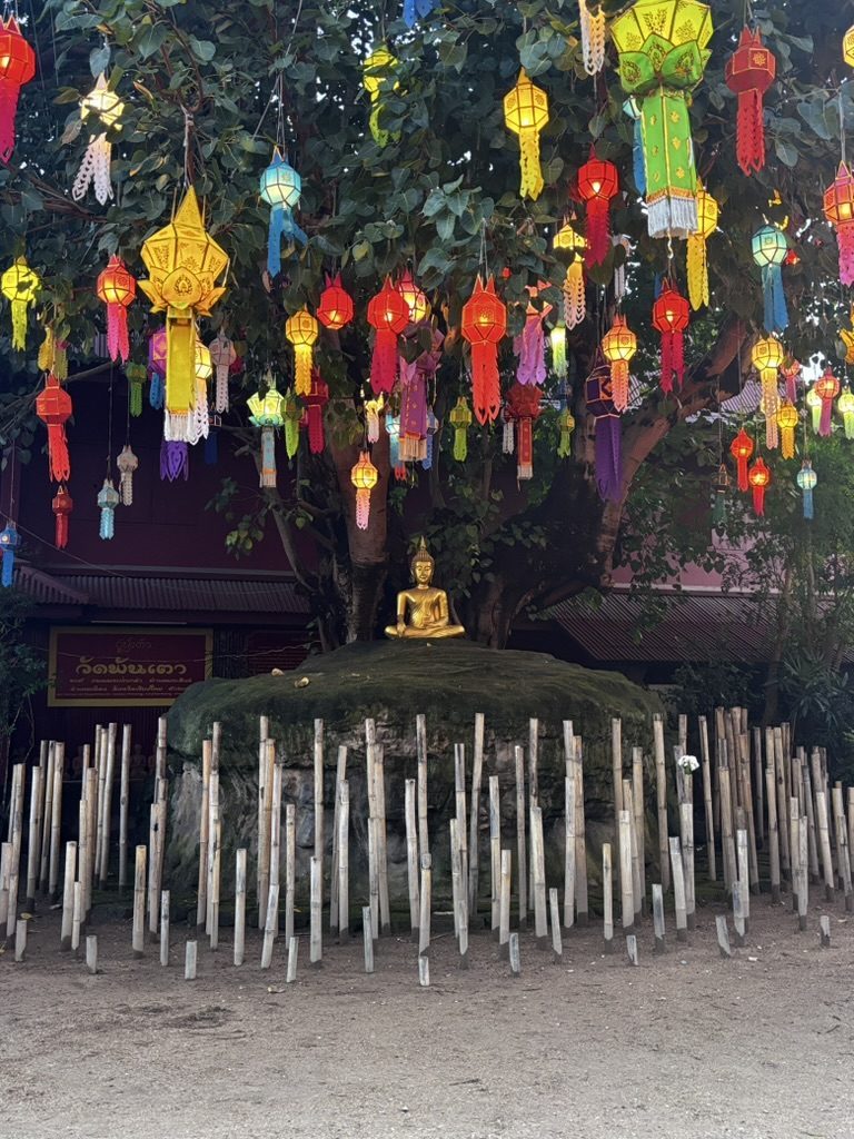 Golden Buddha under lantern-draped tree, Chiang Mai temple