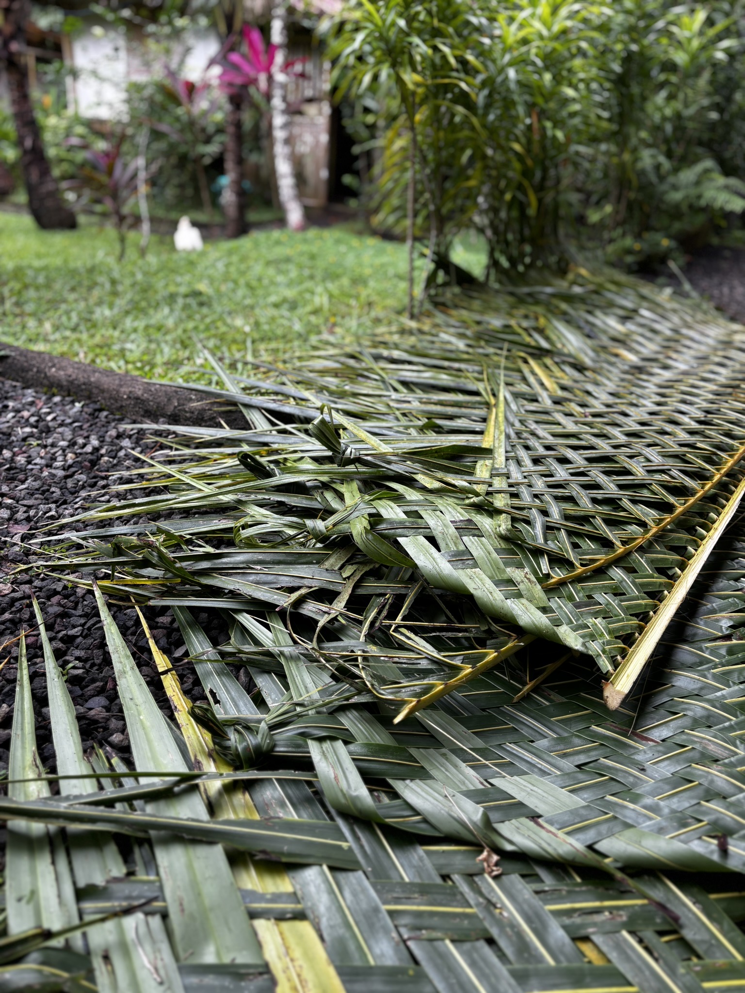 A traditional Balinese woven banana leaf panel being assembled on the ground, the intricate green weave visible against the dark earth of a lush tropical garden