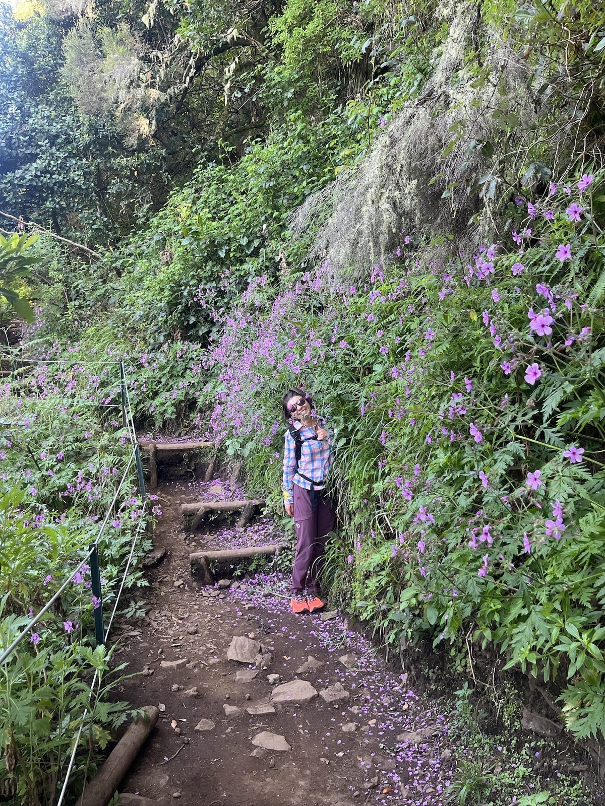 Anca on old stone steps surrounded by cascading purple flowers and dense green jungle vegetation, levada trail