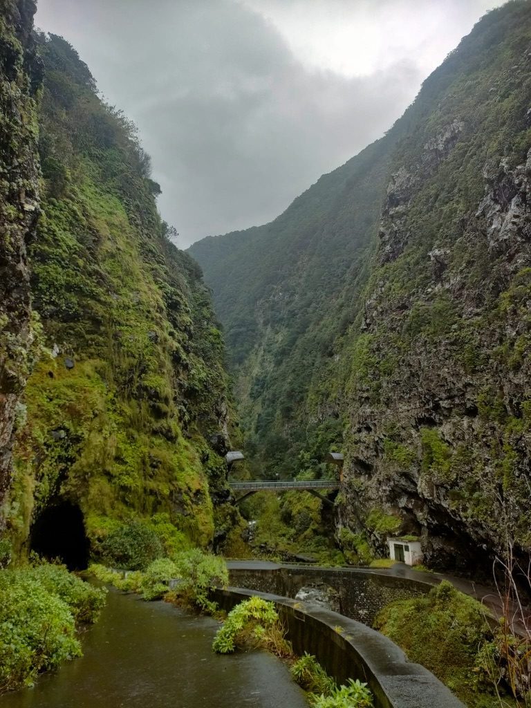 Winding levada path between two massive green moss-covered cliff walls, grey sky, water running on the road