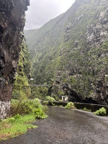 Dramatic deep gorge with sheer green-covered cliffs either side, bridge visible in the distance, rainy sky