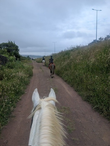 Anca on horseback on a trail in the Azores — on the road again, but a very different kind of road this time