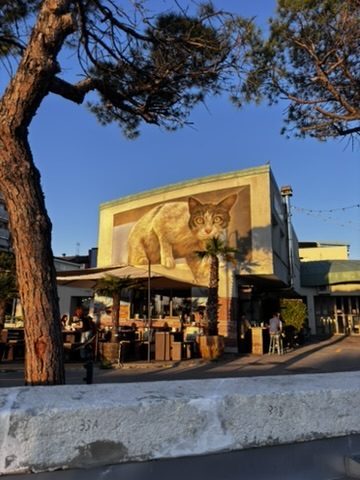Vibrant street art mural on an old wall in Caorle, Italy — bold colours against weathered stone
