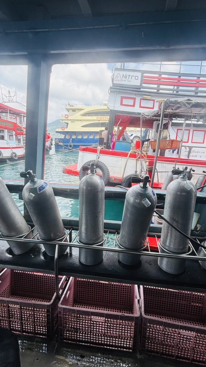 Scuba tanks lined up in a rack on a dive boat pier, other dive vessels in the background