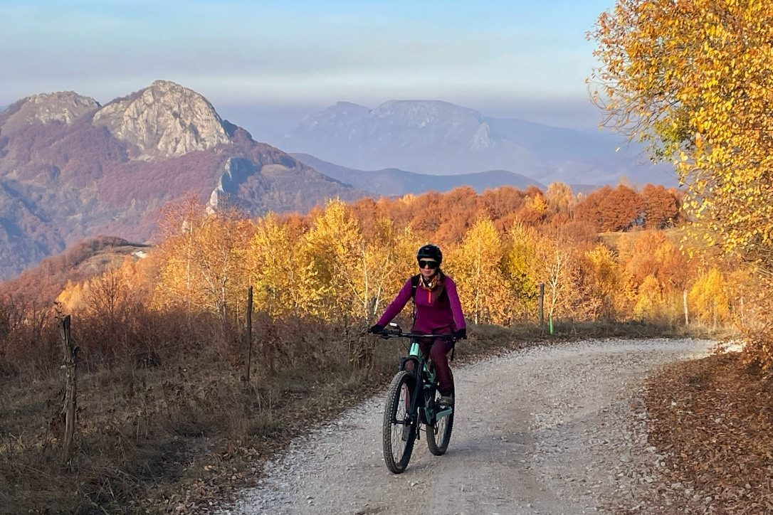 Orbea on a road through spectacular autumn forest and mountains
