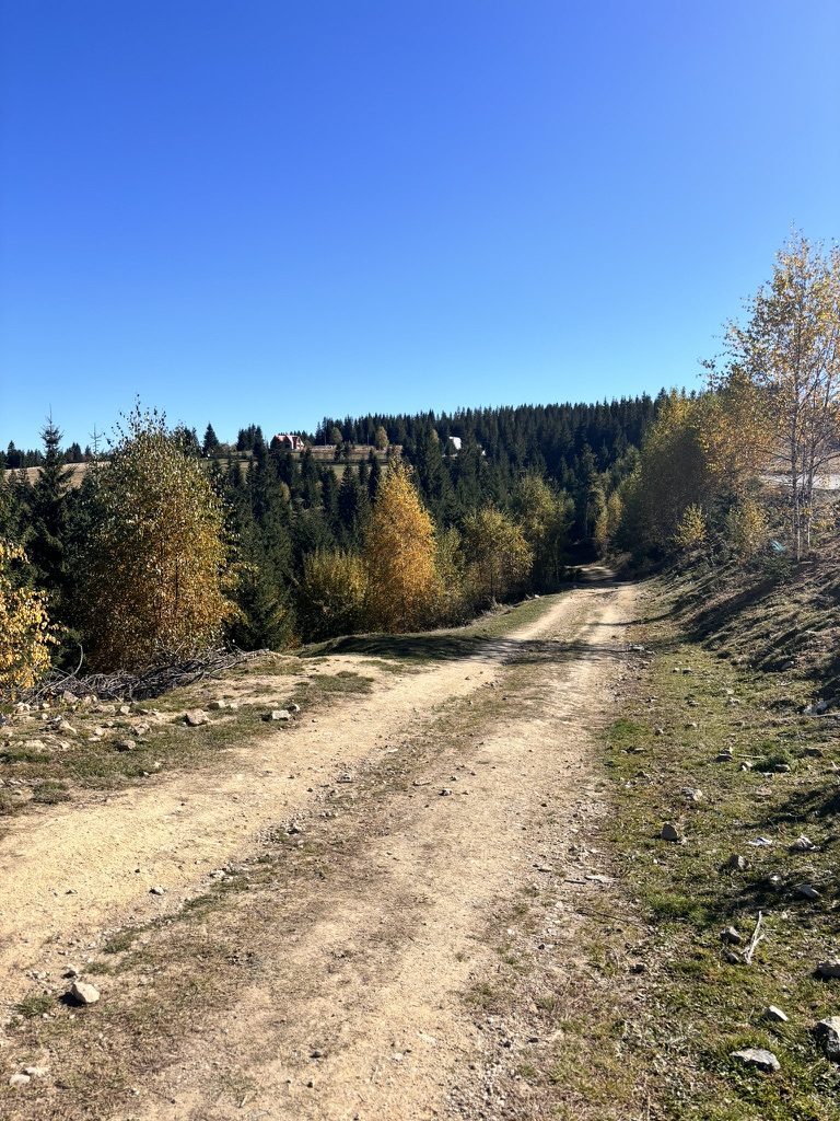 Autumn dirt trail winding through yellow and green forest at Marisel near Cluj