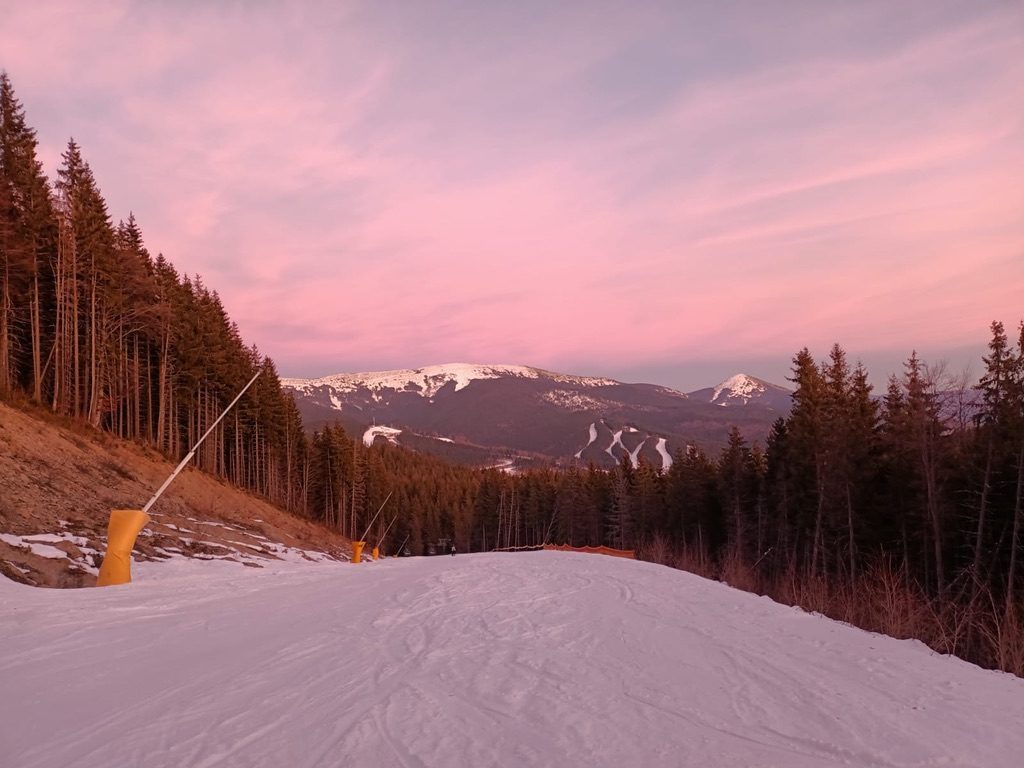 Skiers on the mountain — colourful jackets against white snow, pine forest behind them