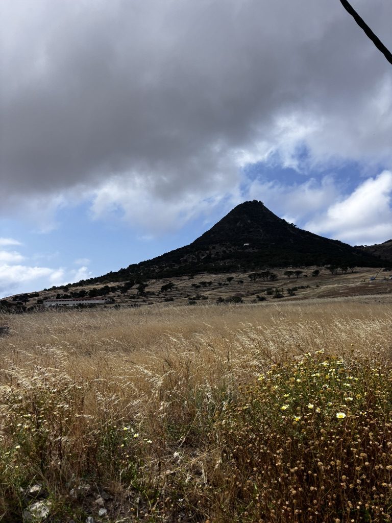 A dramatic perfect-cone volcanic peak rising from golden wheat fields with wildflowers, cloudy sky