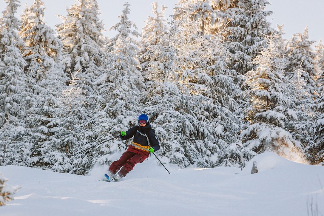 A skilled skier launching off a jump between snow-covered pine trees, golden powder spray, professional action shot