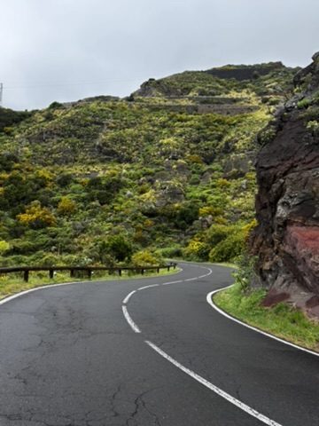 View over the green northern valleys of Tenerife, terraced hillsides, clouds at eye level