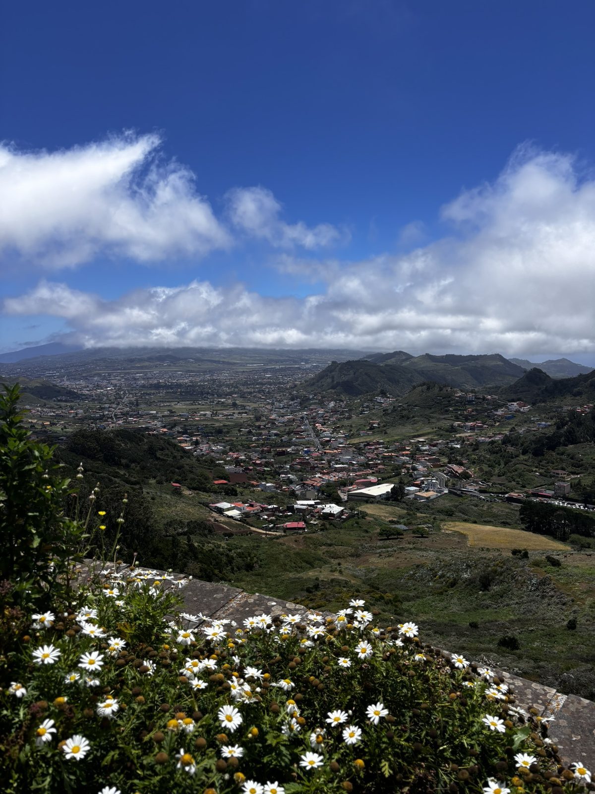 View from a high ridge in the north of Tenerife — a green valley with a white village below, daisies in bloom in the foreground, Teide just visible through the clouds in the far distance