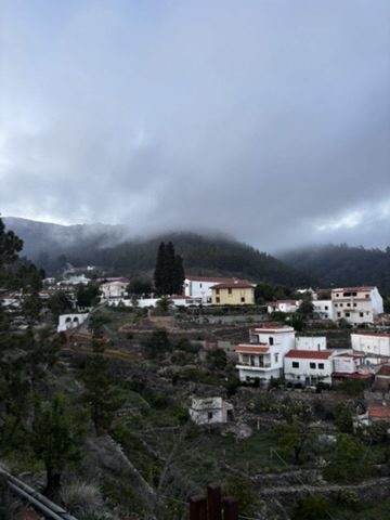 A misty mountain village in the north of Tenerife — white and yellow houses on terraced slopes, pine trees and low cloud, grey and atmospheric