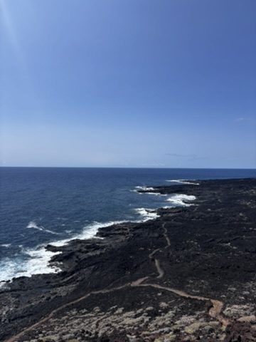 The rugged black lava coastline of Tenerife — waves crashing white against volcanic rock, a coastal path visible, deep blue Atlantic stretching to the horizon with a distant island