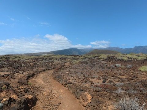 A narrow red dirt trail cutting through an ancient lava field in Tenerife — black and brown volcanic rock stretching to distant green mountains under a cloudless blue sky