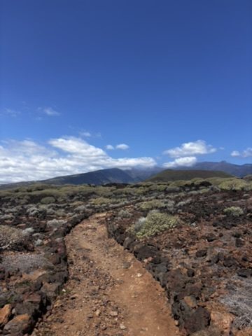 Desert hiking trail in southern Tenerife — arid volcanic terrain, wide open roads, clear blue sky