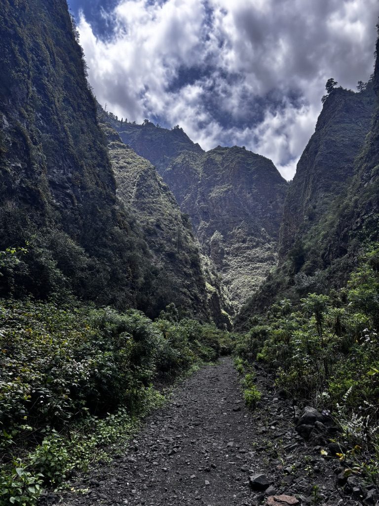 Sheer volcanic cliffs on the western coast of Tenerife dropping to the Atlantic