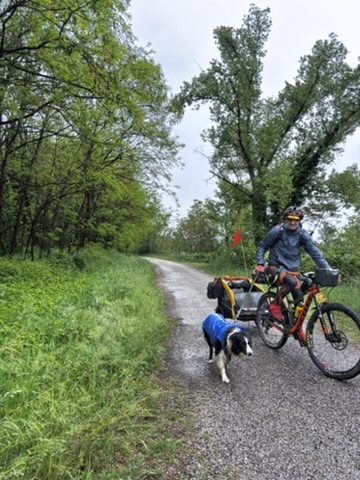 A very cool man cycling the Veneto Gravel race with his dog — both of them completely unbothered