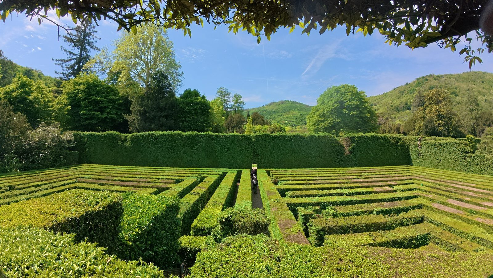 Anca deep in a bike detour in the Veneto — a maze of paths, completely and happily lost
