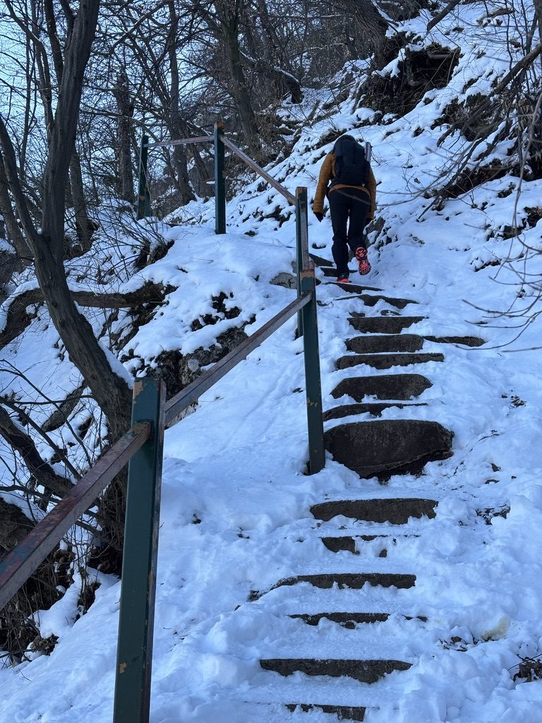 Anca running up the steep wooded trail to Tampa Hill in Brașov, the city and mountains visible below