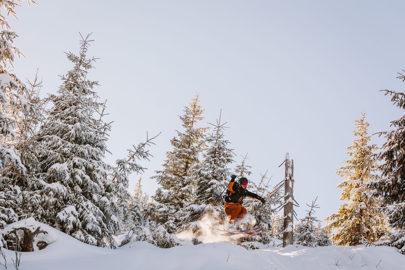 Snowboarder catching air between snow-laden pine trees at Madarasi ski resort, Romania