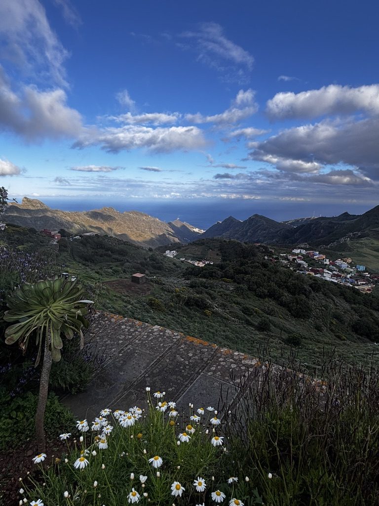 Volcanic landscape of Tenerife