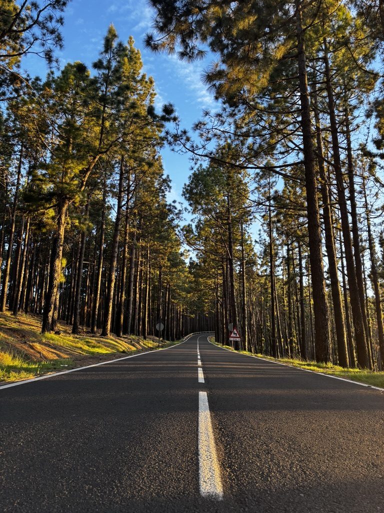 Driving on a Paradise Island