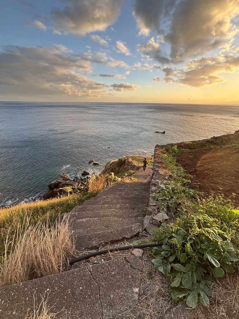 Madeira Paradise