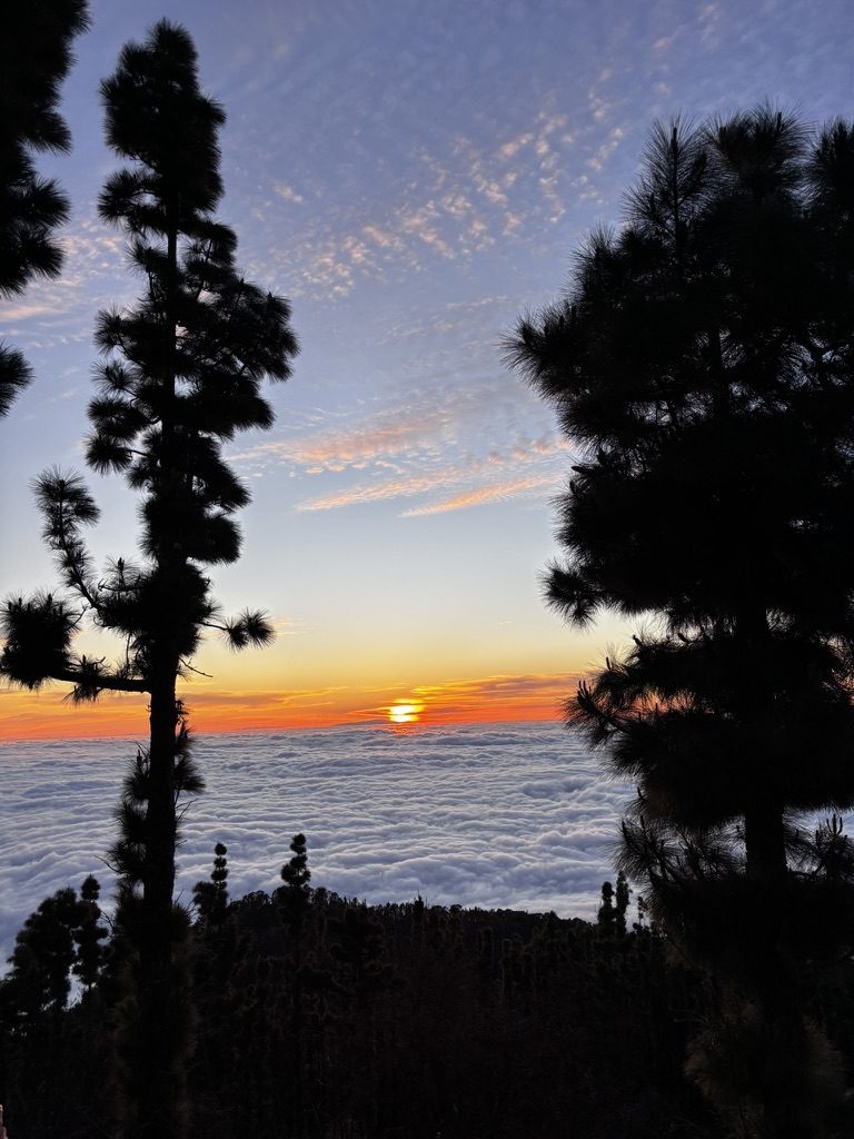 Tenerife Above the Cloud